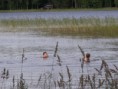 /album/fotogalerij/pict1952-jpg/