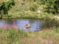 /album/fotogalerij/pict1712-jpg/
