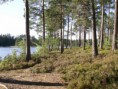 /album/fotogalerij/pict1758-jpg/