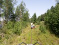 /album/fotogalerij/pict1765-jpg/