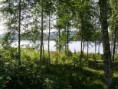 /album/fotogalerij/pict1768-jpg/