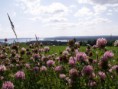 /album/fotogalerij/pict1834-jpg/