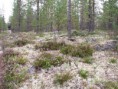 /album/fotogalerij/pict1890-jpg/