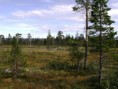 /album/fotogalerij/pict0612-jpg/
